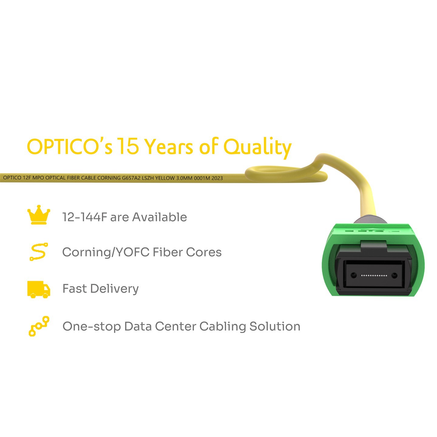 12F MTP MPO To SC Harness Patch Cable 12F MTP MPO To SC Harness Patch Cable